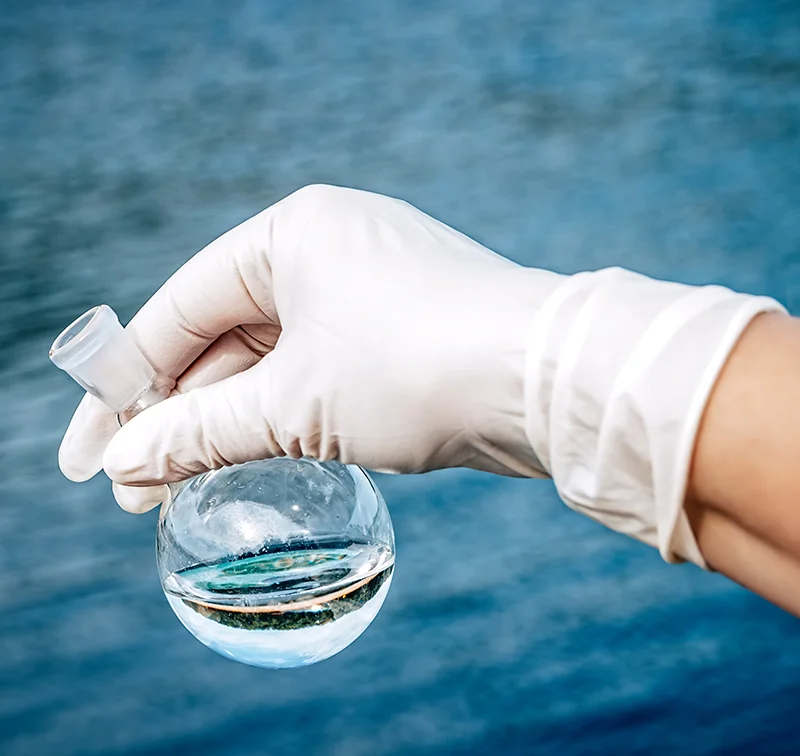 Water sample for potable testing